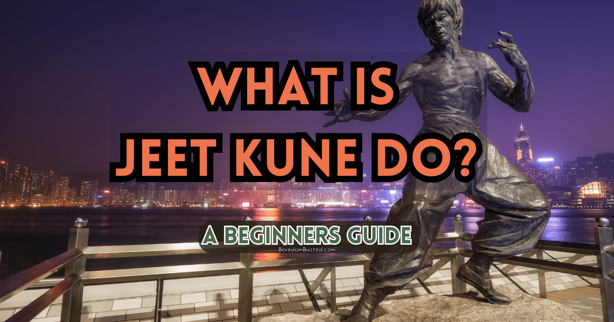 What is jeet kune do? A beginners guide to Tae Bo