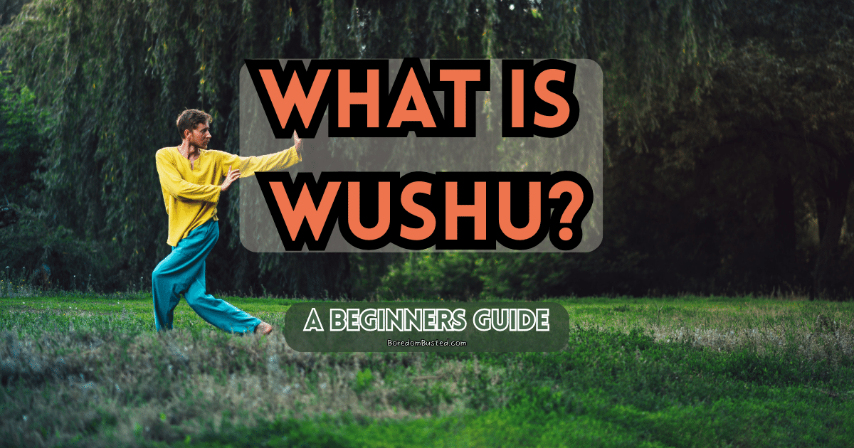 What is wushu? a beginner guide on Tae Bo