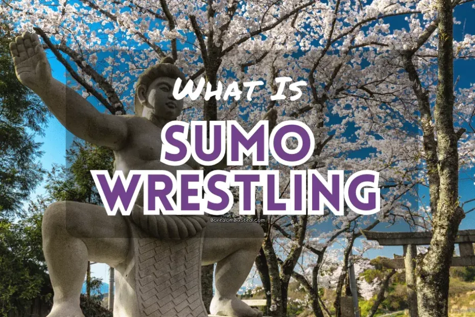 What is Sumo Wrestling? featured image, sumo statue under beautiful Japanese tree